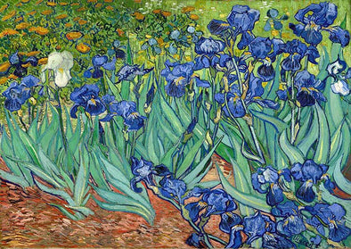 Artwork 0063 Van Gogh Irises - Serendipity House LLC