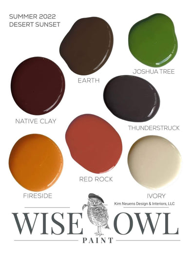 Wise Owl Desert Sunset