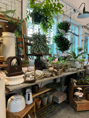 Shop Favorites