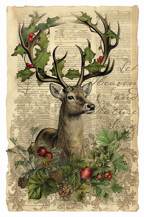 IOD Holiday 2023