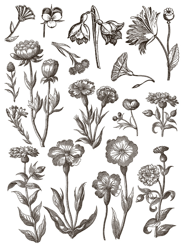 Floriography