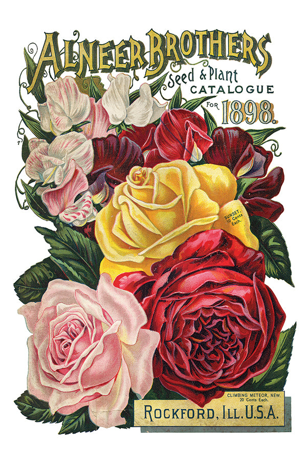 flower seed catalogue Seed Catalogue– Serendipity House LLC