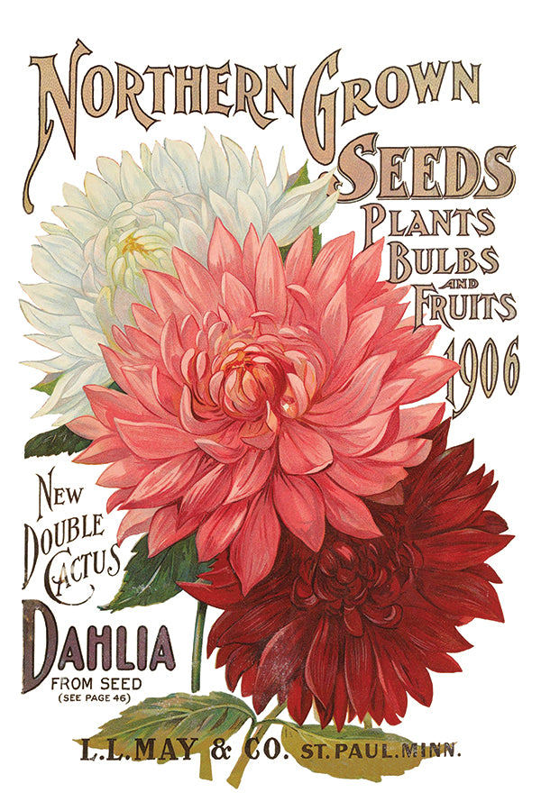 flower seed and plant catalogs Seed Catalogue– Serendipity House LLC