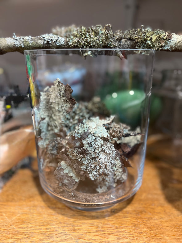 Nature Cloches LIVE Online Workshop 8/3/2025