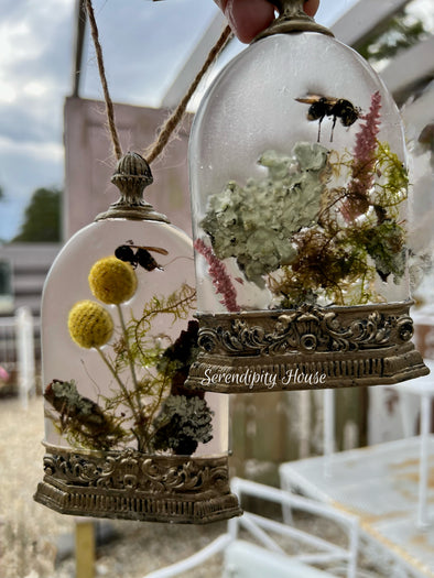Nature Cloche Workshop Kit