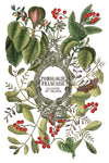 Vintage French botanical transfer with ornate frame, foliage, and red berries.