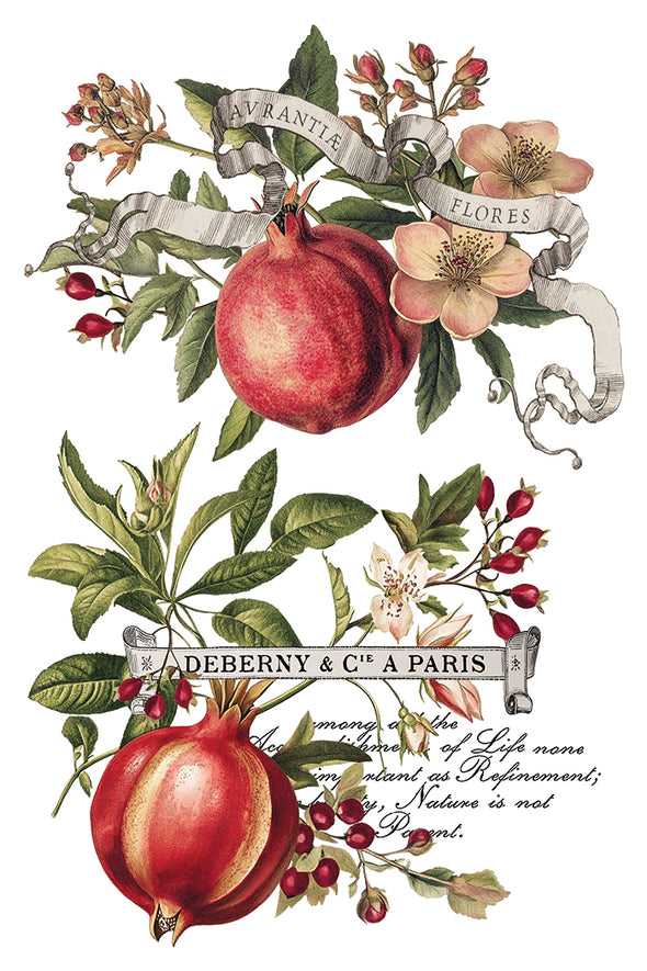 Pomegranate fruit and blossoms with French typography accents.