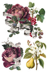 Botanical collage featuring deep purple cabbage roses, pears, and berries.