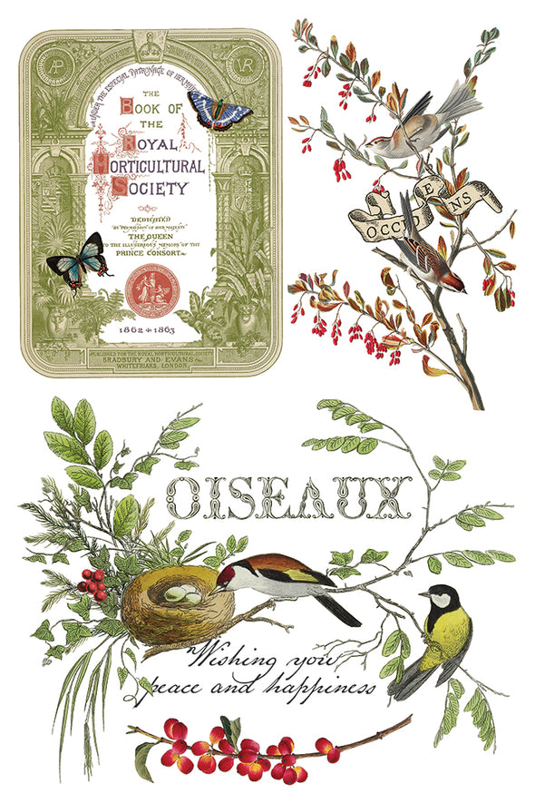Transfer sheet with green horticultural label, perched birds, and “Oiseaux” design.