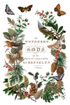 Transfer sheet featuring full wreath design of birds, butterflies, pinecones, and holly leaves.