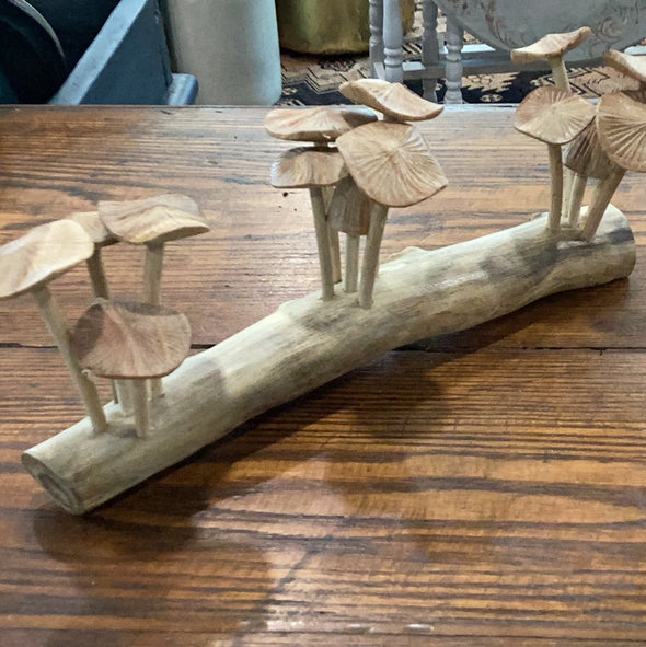 Mushroom Driftwood