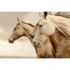 Sepia Horses - Serendipity House LLC