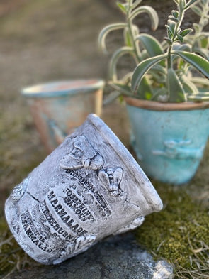 Gardening Pot with Clay Impression Kit - Serendipity House LLC