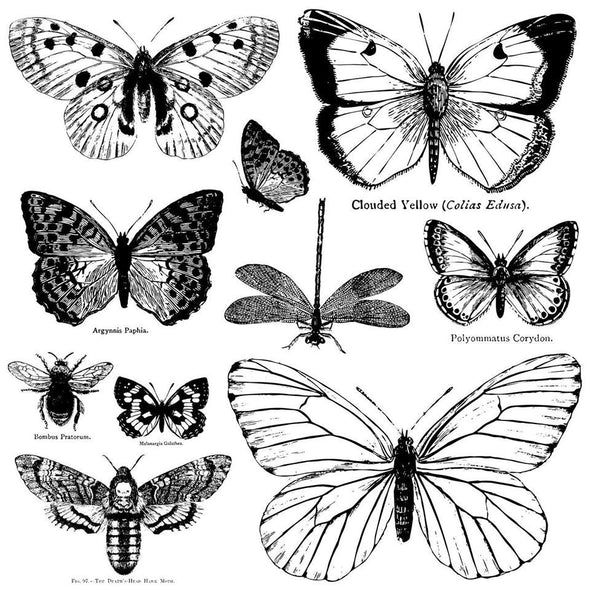 IOD Butterflies Decor Stamp