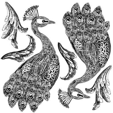 Pavo - Serendipity House LLC