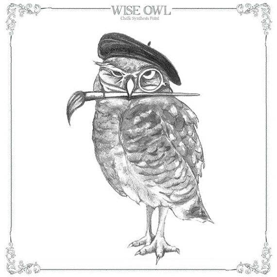 Wise Owl Chalk Synthesis Paint logo