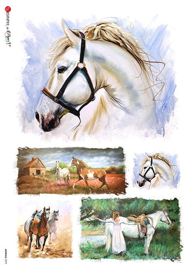 Animals 0072 Horses - Serendipity House LLC