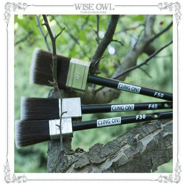F50 (large) flat brush series from ClingOn! Brushes